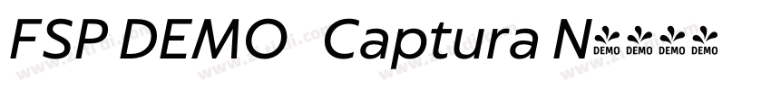 FSP DEMO   Captura N字体转换